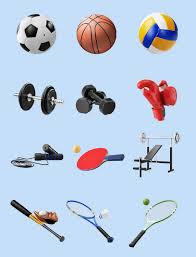 必一·体育(B-Sports) 健身器材与篮球